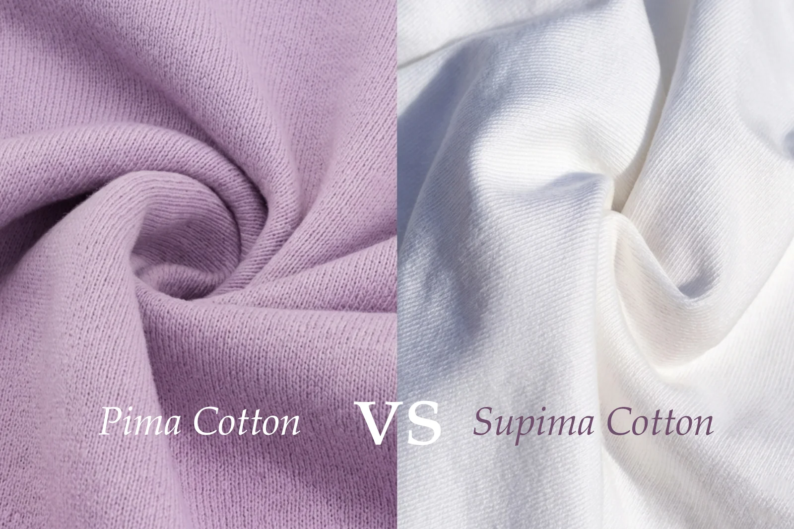 10 Key Differences Between Pima vs Supima Cotton